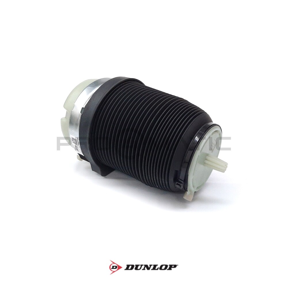 Audi A6 C6 Avant (4F5) Fole Pneumático Traseiro DUNLOP 4F0616001J — 7
