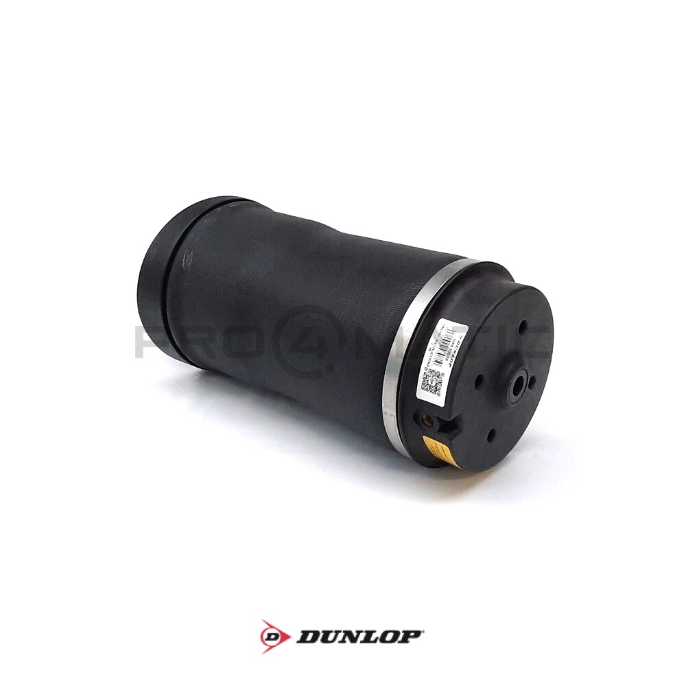 Mercedes-Benz Clase R (W251, V251) Balona Neumática Trasera DUNLOP 2513200425 — 3