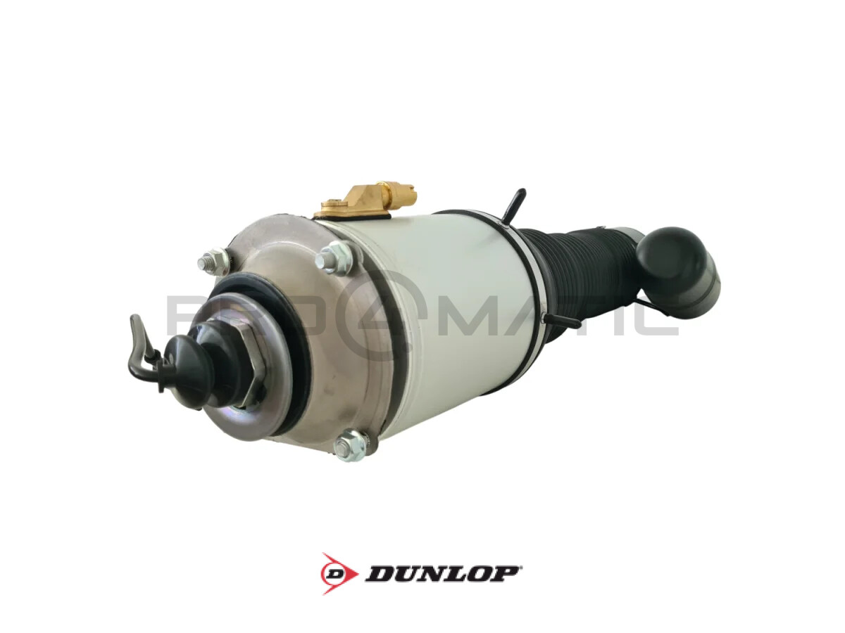 VW Phaeton (3D1, 3D2, 3D3, 3D4, 3D6, 3D7, 3D8, 3D9) Amortecedor Pneumático Dianteiro Esquerdo DUNLOP 3W0616039 — 6
