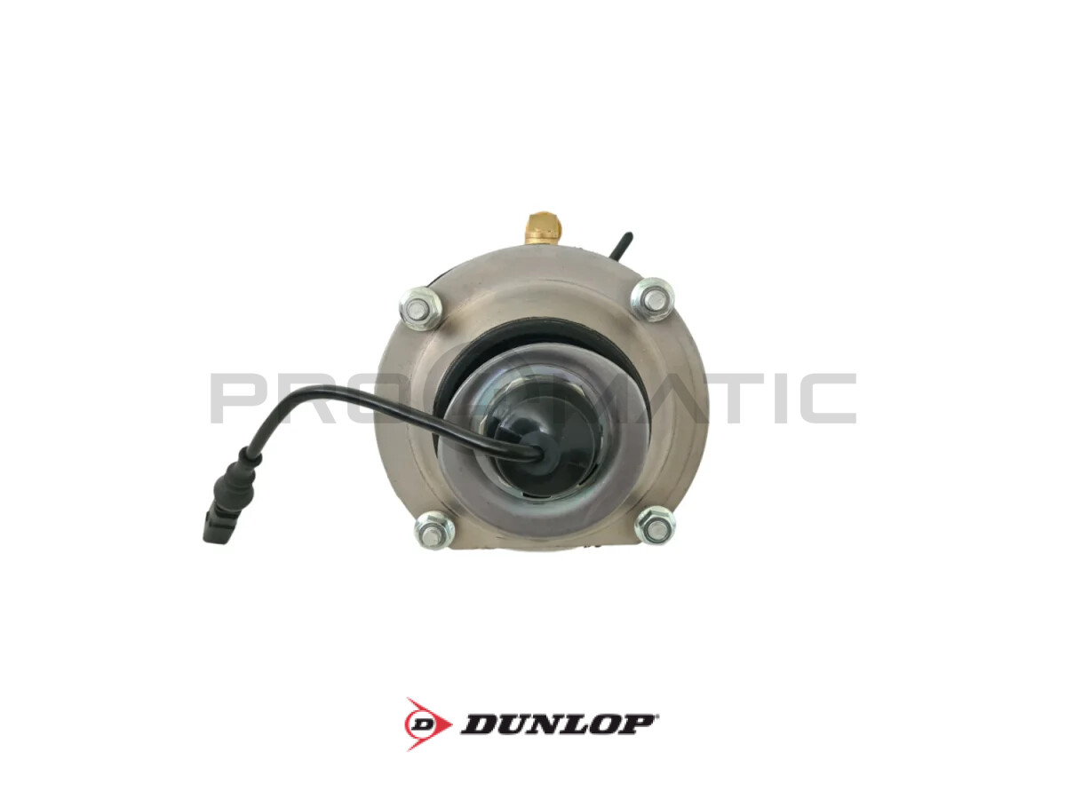 VW Phaeton (3D1, 3D2, 3D3, 3D4, 3D6, 3D7, 3D8, 3D9) Amortecedor Pneumático Dianteiro Esquerdo DUNLOP 3D0616039 — 8