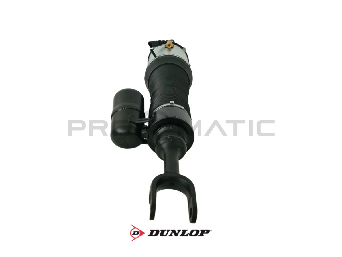 VW Phaeton (3D1, 3D2, 3D3, 3D4, 3D6, 3D7, 3D8, 3D9) Amortecedor Pneumático Dianteiro Esquerdo DUNLOP 3D0616039 — 9