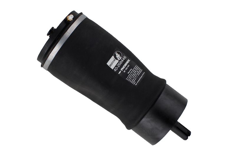 Land Rover Range Rover IV (L405) Fole Pneumático Traseiro BILSTEIN LR034262