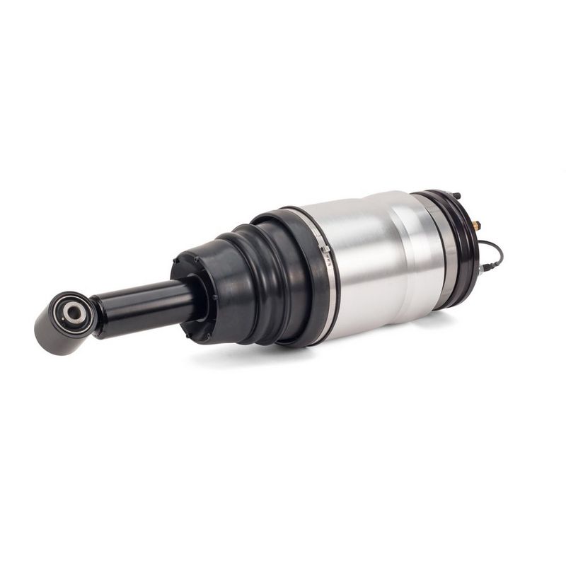 Land Rover Range Rover Sport I (L320) Amortecedor Pneumático Traseiro ARNOTT LR032651 — 4