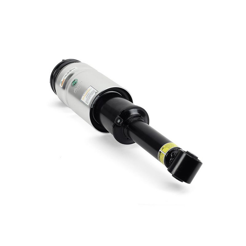 Land Rover Range Rover Sport I (L320) Amortecedor Pneumático Dianteiro ARNOTT RNB501580 — 4