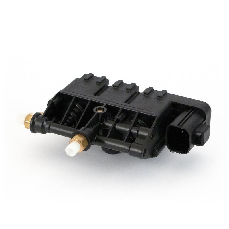 Land Rover Range Rover Sport I (L320) Unidade de Válvulas ARNOTT RVH000054 — 2