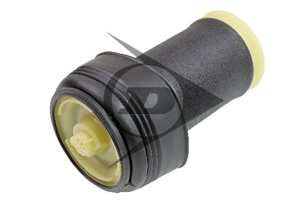 BMW X5 (E70) Fole Pneumático Traseiro DUNLOP 37126790078 — 4