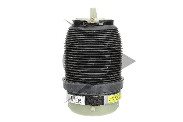 Audi A6 C6 Avant (4F5) Fole Pneumático Traseiro DUNLOP 4F0616001J — 6