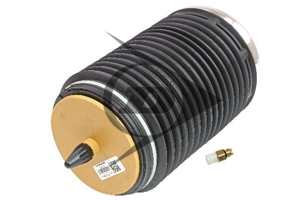 Audi A6 C7 (4G2, 4GC) Mola pneumática, chassis Dunlop Systems 71038