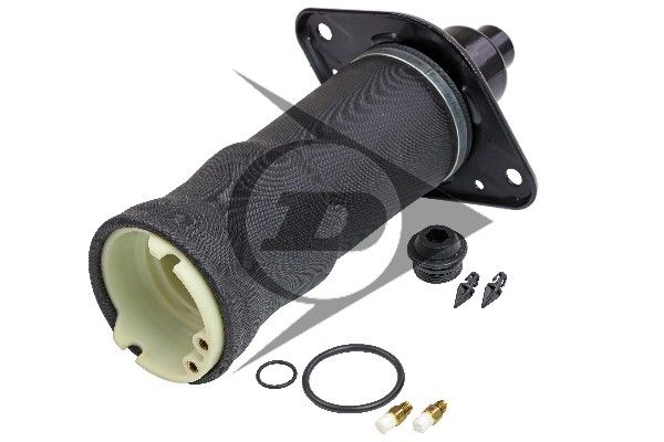 Audi Allroad C5 (4BH) Mola pneumática, chassis Dunlop Systems 71049