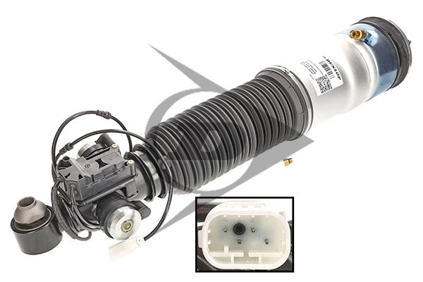 BMW Série 7 (F01, F02, F03, F04) Elemento de suspensão pneumática Dunlop Systems 71105