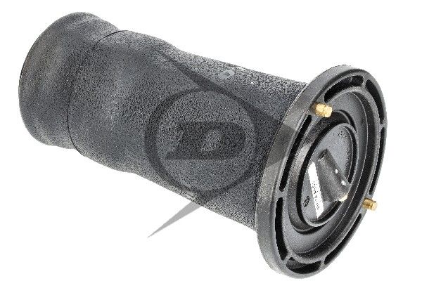 Land Rover Discovery II (L318) Fole Pneumático Traseiro DUNLOP RKB101200 — 4