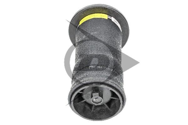 Land Rover Discovery II (L318) Fole Pneumático Traseiro DUNLOP RKB101200 — 6