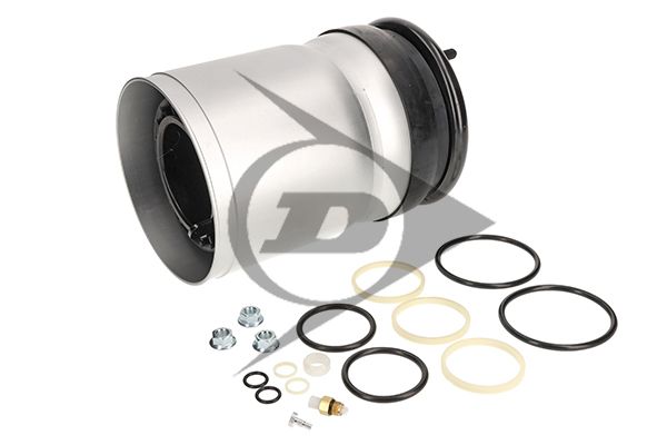 Land Rover Range Rover Sport I (L320) Mola pneumática, chassis Dunlop Systems 71147
