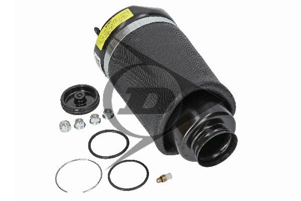 Mercedes-Benz Classe M (W164) Mola pneumática, chassis Dunlop Systems 71162