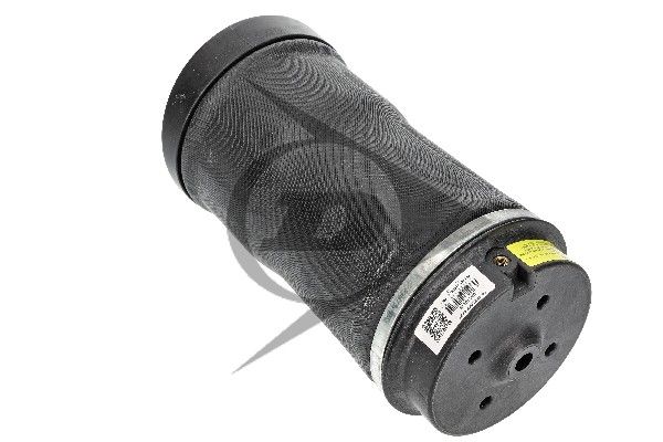 Mercedes-Benz Clase R (W251, V251) Balona Neumática Trasera DUNLOP 2513200425 — 4