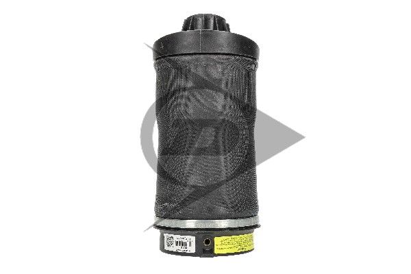 Mercedes-Benz Clase R (W251, V251) Balona Neumática Trasera DUNLOP 2513200425 — 6