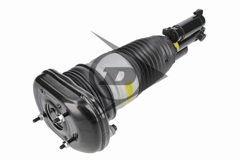BMW Série 5 Touring (G31) Amortecedor Pneumático Traseiro Esquerdo DUNLOP 37106882823 — 3