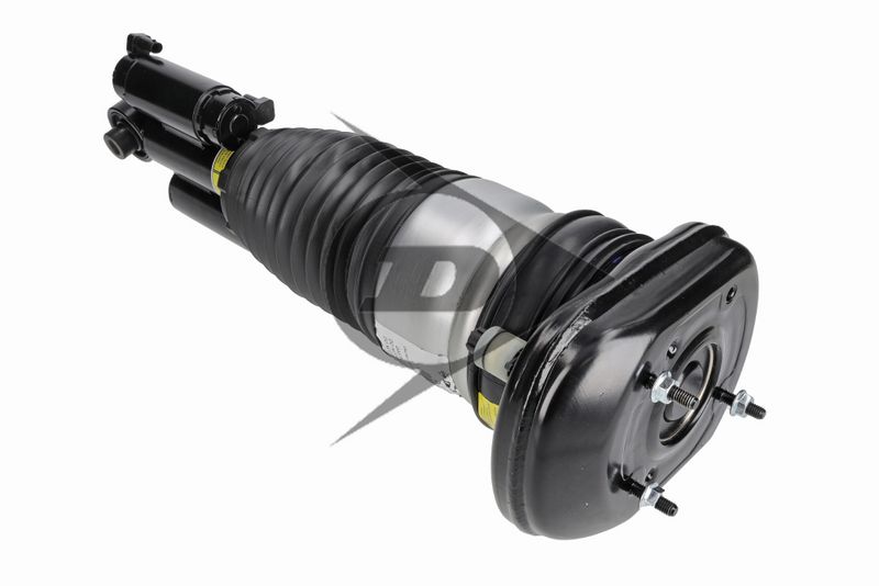 BMW Série 5 Touring (G31) Amortecedor Pneumático Traseiro Direito DUNLOP 37106882824 — 3